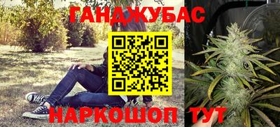 стаф Рязань