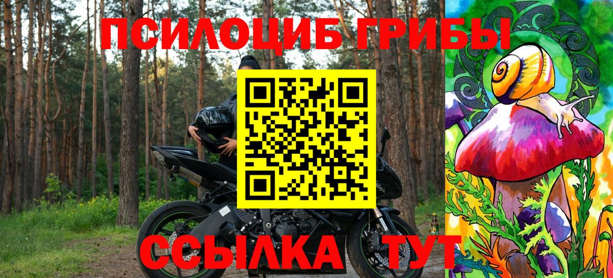 Псилоцибиновые грибы мухоморы  Вход с VPN  Приморско-Ахтарск 
